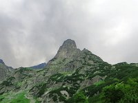 IMG 4130