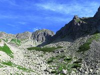 IMG 4137