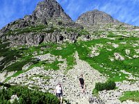 IMG 4141