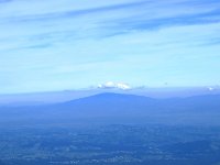 IMG 4159