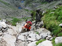 IMG 4168