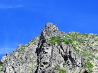 IMG 4171