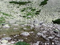 IMG 4172