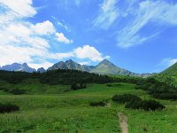 IMG 4176