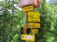 IMG 4178