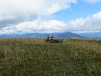 IMG 3172