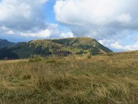 IMG 3177