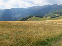 IMG 3178