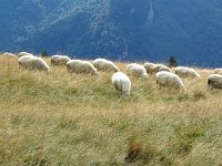 IMG 3179