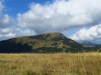 IMG 3186