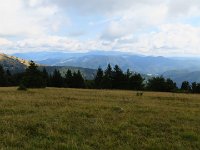 IMG 3191