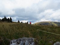 IMG 3195