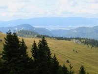 IMG 3204