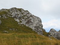 IMG 3207