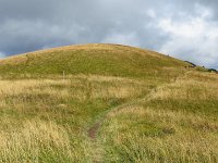 IMG 3214