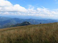 IMG 3230