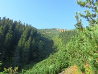IMG 4580