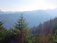 IMG 4581