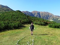 IMG 4588