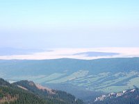 IMG 4592