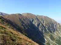 IMG 4593