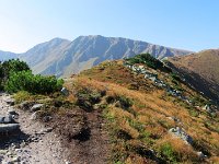 IMG 4594