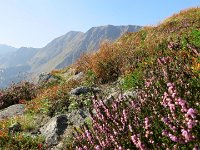 IMG 4597