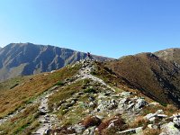 IMG 4603