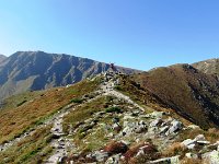 IMG 4607