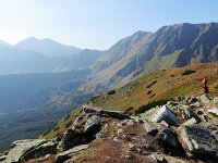IMG 4616