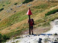 IMG 4618