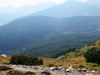 IMG 4621