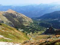 IMG 4631