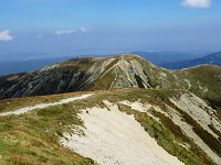 IMG 4632