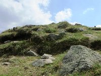 IMG 4633