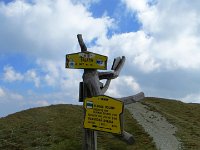 IMG 4639