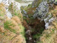 IMG 4644