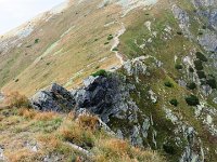 IMG 4650