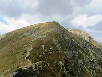 IMG 4651