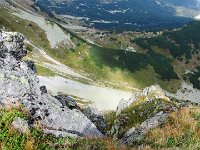 IMG 4655