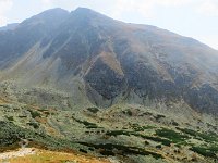 IMG 4658