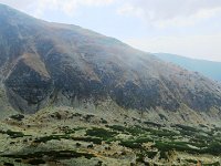 IMG 4659