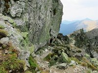IMG 4668