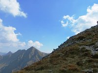 IMG 4683