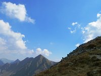 IMG 4686