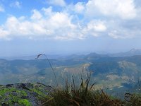 IMG 4702