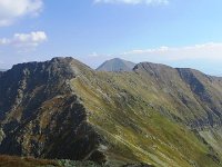 IMG 4729