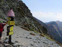 IMG 4738