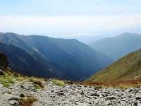 IMG 4745