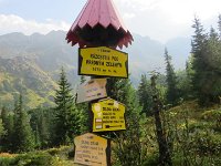 IMG 4746